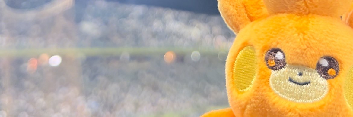 🌷 banner