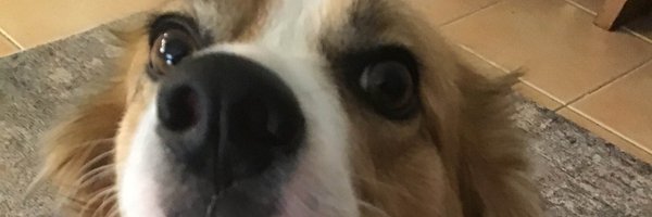 xerxzy_ Profile Banner