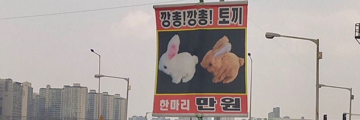 코니 banner