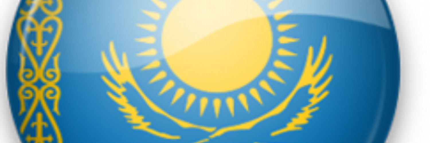 Футболка казахстан. Футболка с надписью казах. Футболки с казахским орнаментом. Заказы казахстан. Футболка с надписью казахстан.