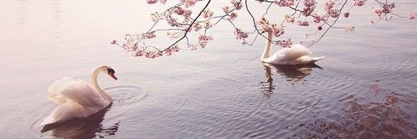 Junanda36's profile banner image