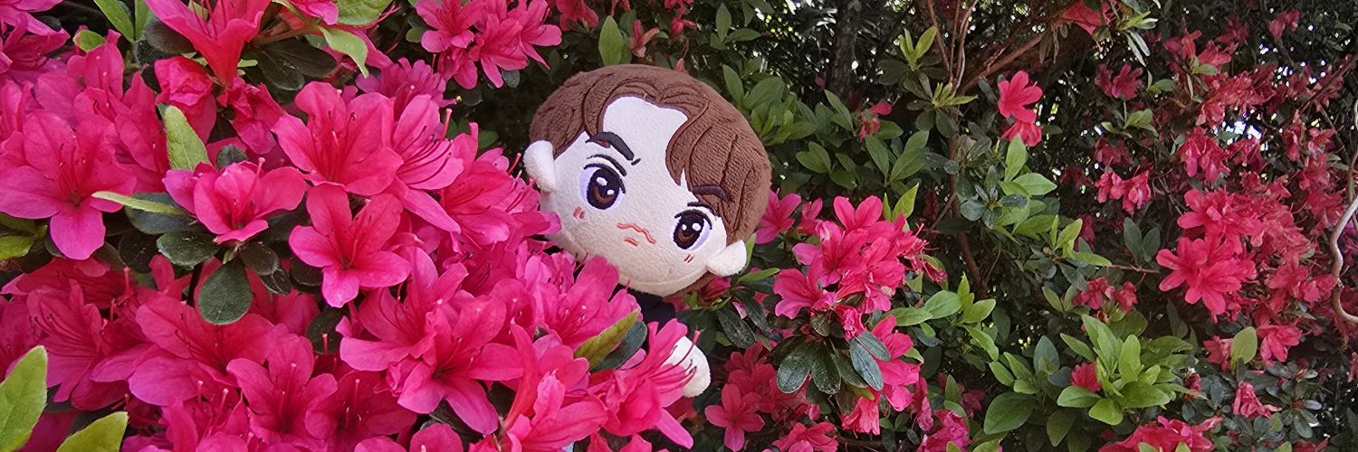 mich🇯🇵Brights🤍🇹🇭 banner