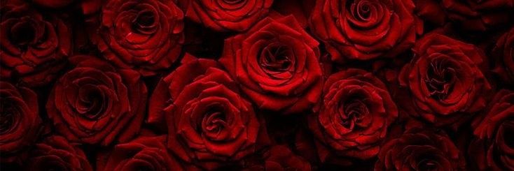 lalidavia_'s profile banner image