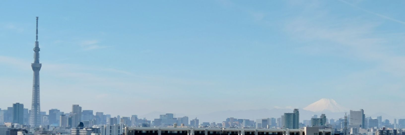 WRIrexz2KT64773's profile banner image