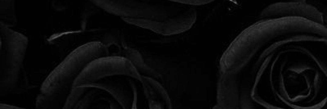 zhr banner
