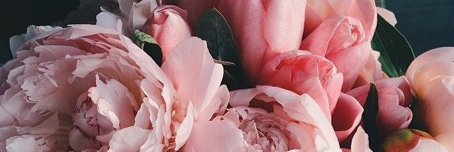 Annette Coyle banner