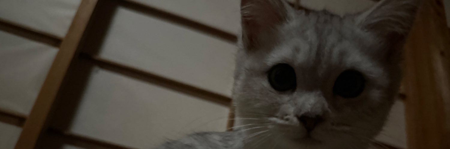 ポプ子 banner