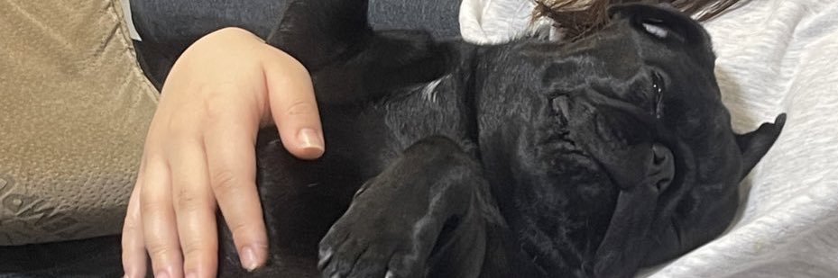 ちよの日常🍧☆*。 banner