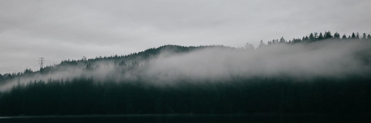 abnious's profile banner image