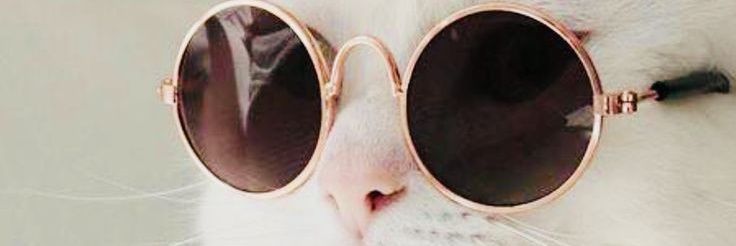 YourLatinBoyy's profile banner image