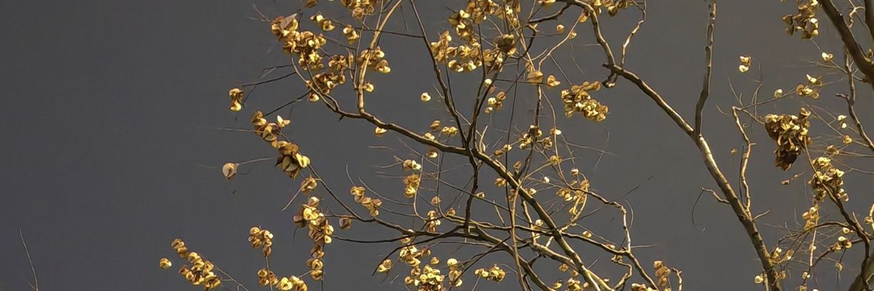 december120222's profile banner image