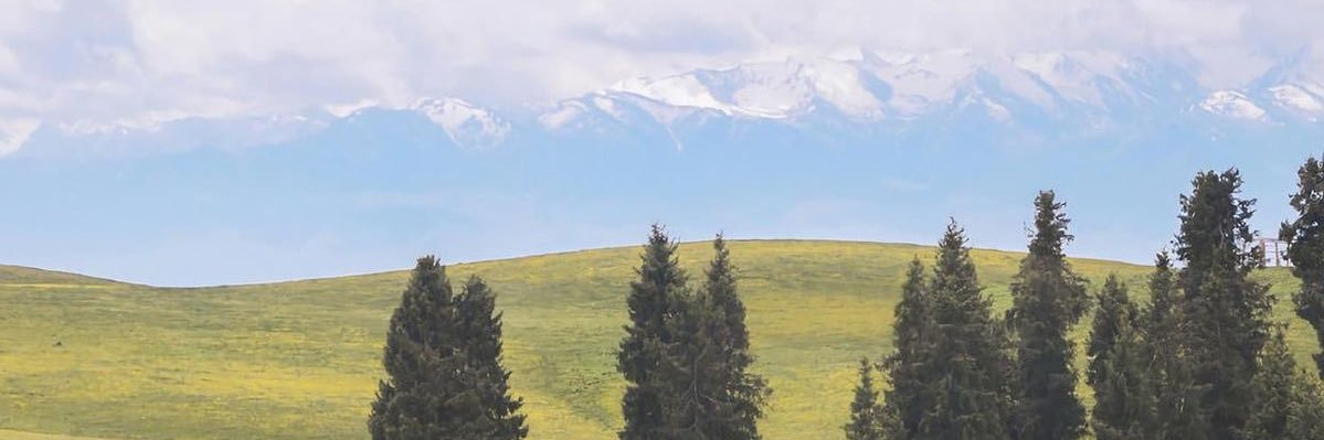 crvngx's profile banner image