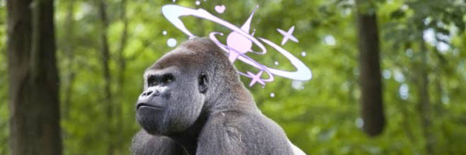 Mikutoge's profile banner image