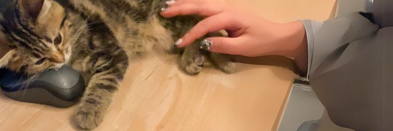 kevmiscry's profile banner image