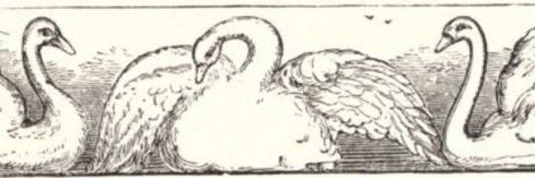 byssgibi Profile Banner