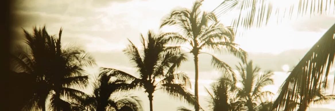 rlievl's profile banner image