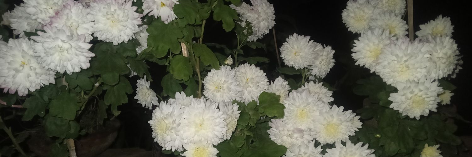 tm132895's profile banner image