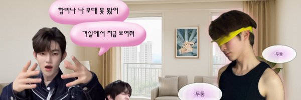 littletwinbaos Profile Banner