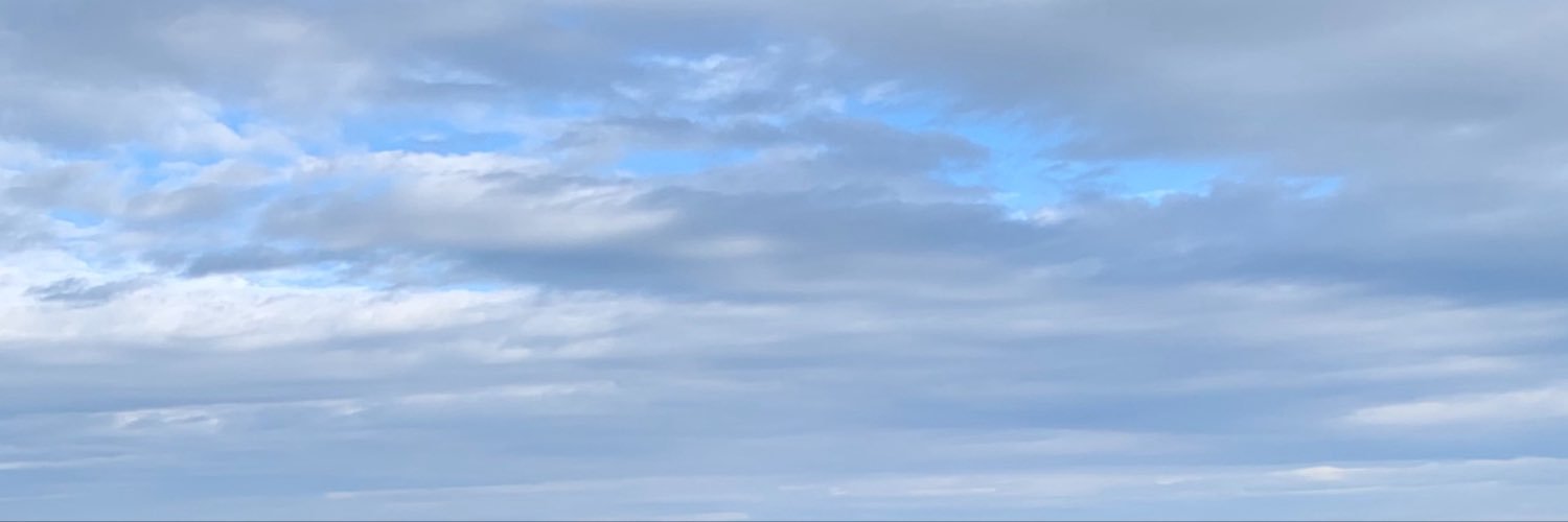 remu_1839's profile banner image