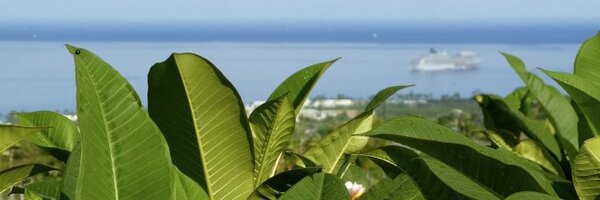 BarbaraUechi Profile Banner