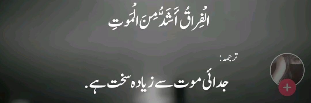 talha00686's profile banner image
