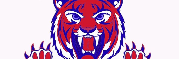 therealCMS0711's profile banner image