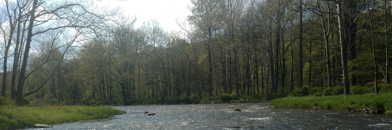 Joseph Dingey banner