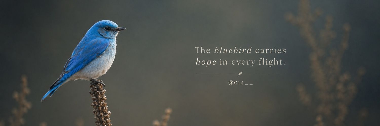 c14__'s profile banner image