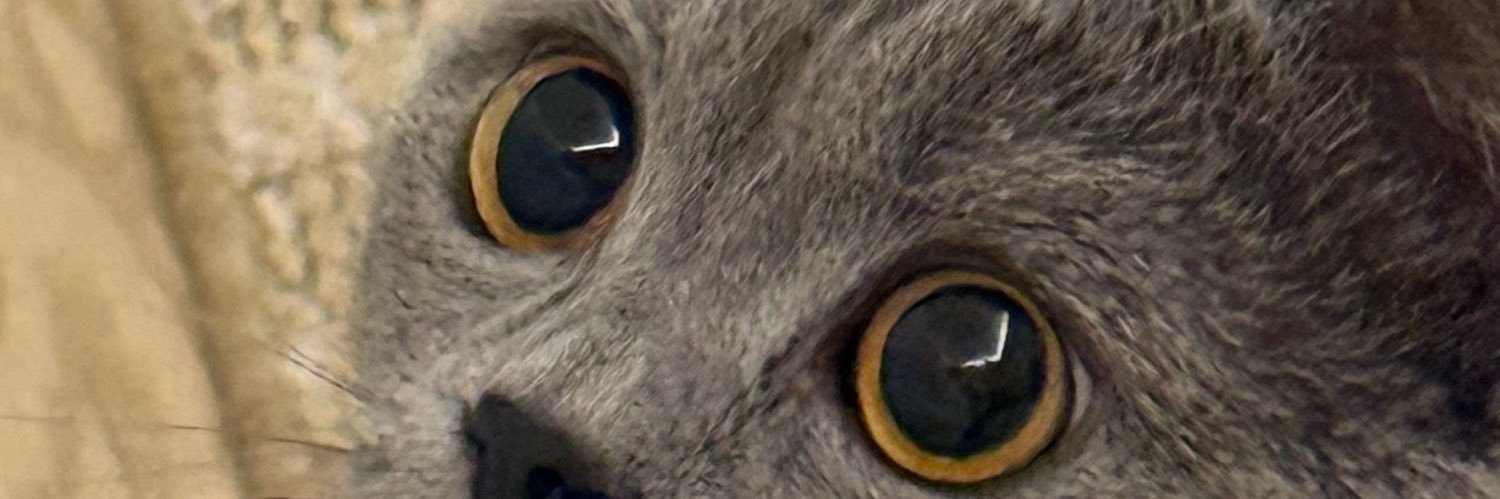 ummuguullsum's profile banner image
