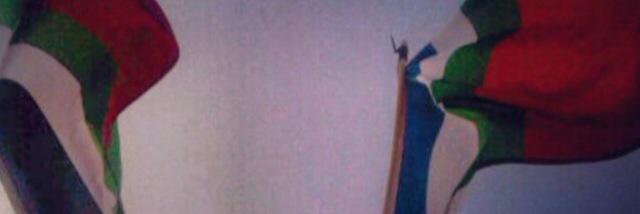 nenzie's profile banner image