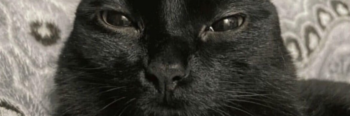 d banner