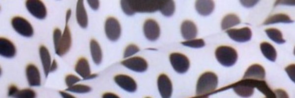 Muneyshower Profile Banner