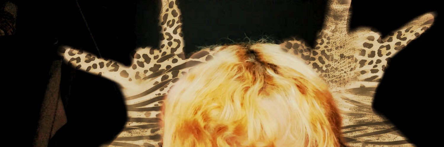 wor$t trave$ti in $alvador banner