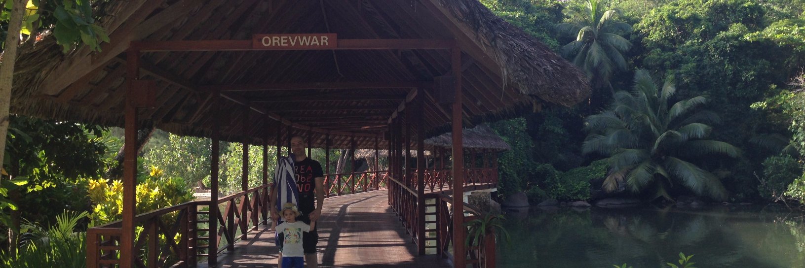 Stefan Ćertić banner