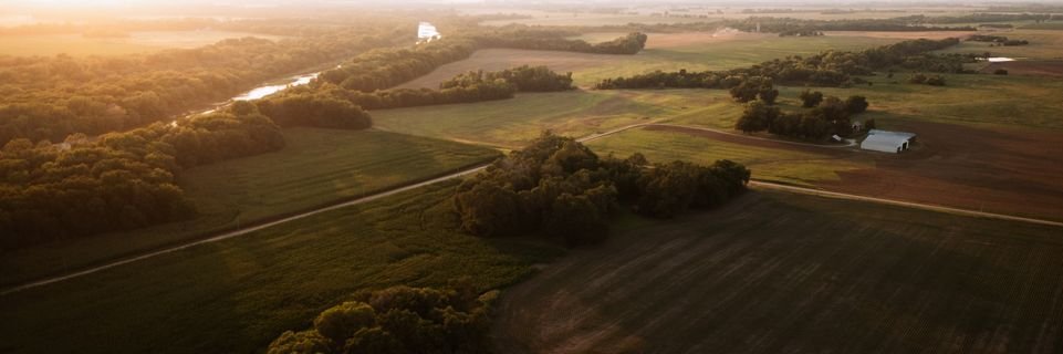 Singular Agronomics banner