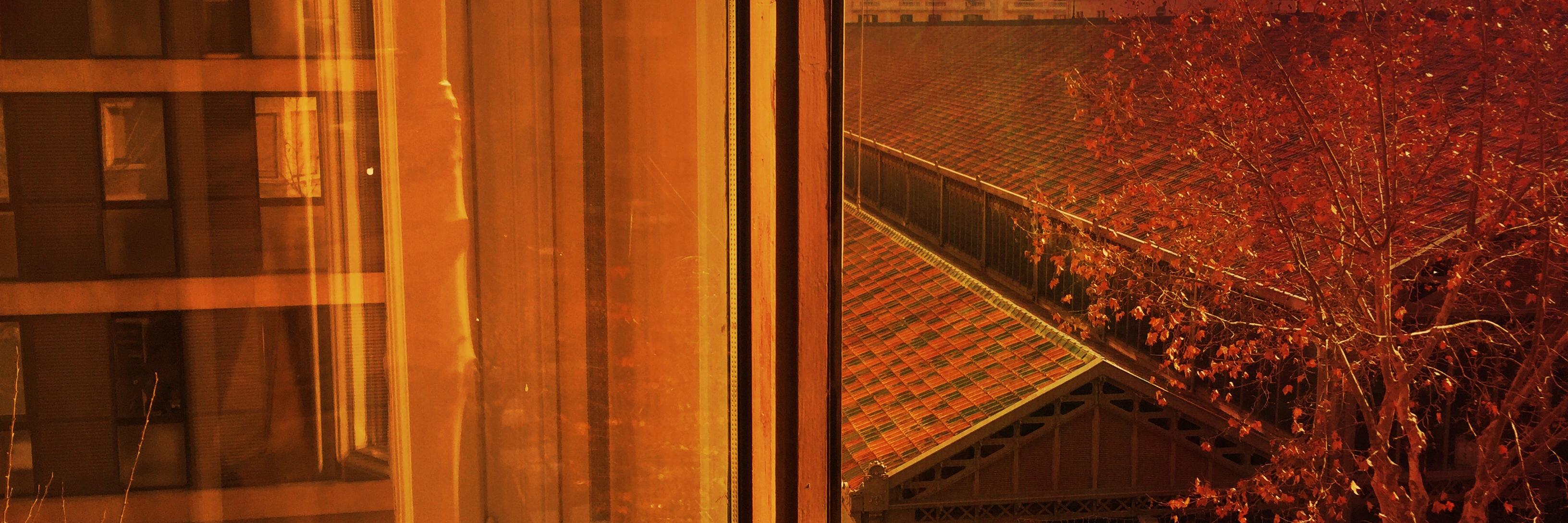 stef0 banner