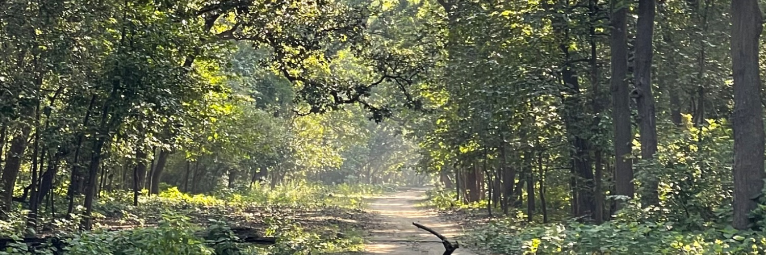 Priya Ravichandran banner