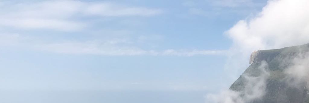 leletalon_'s profile banner image