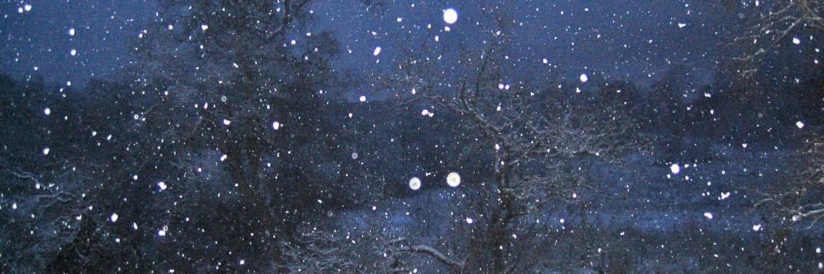 byseolyu's profile banner image