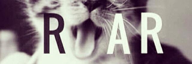 aisedb's profile banner image