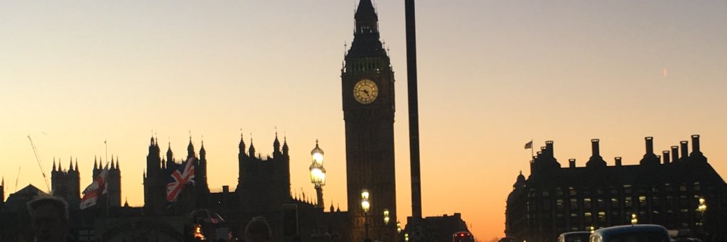 drloumackenzie's profile banner image
