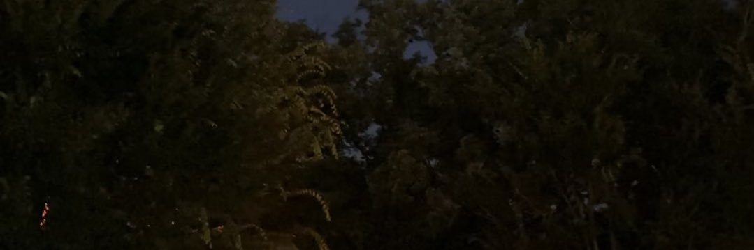 sdken719726's profile banner image