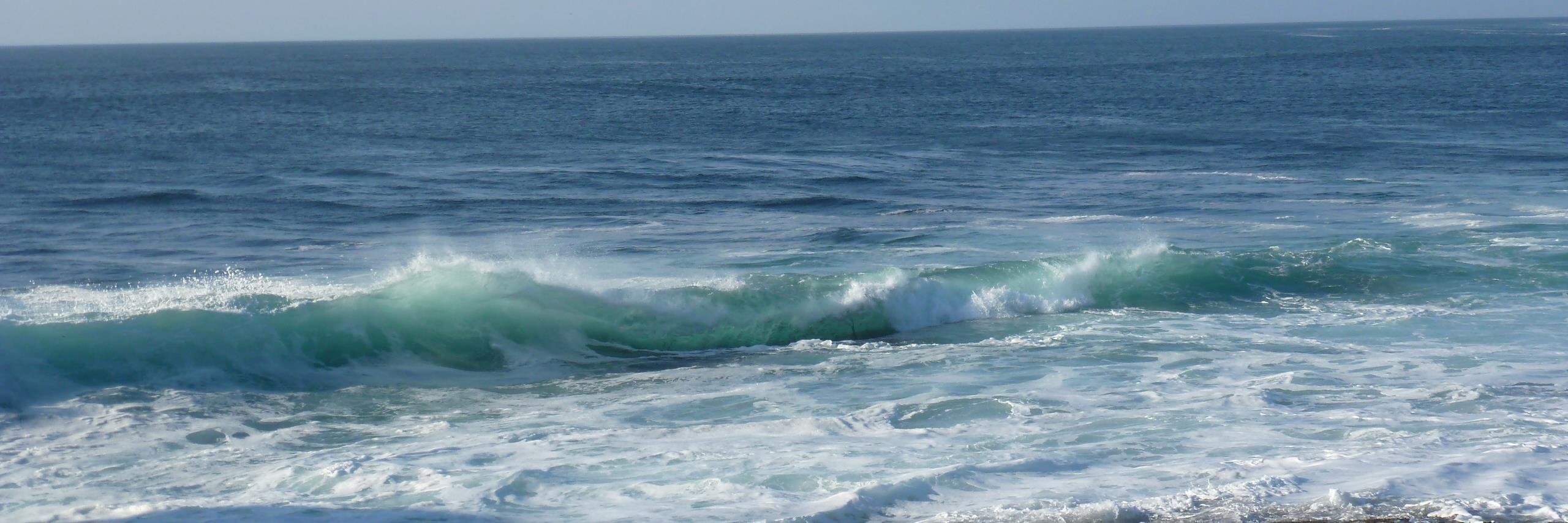 Jane Lewis 0808 800 0340 DSVA helpline banner