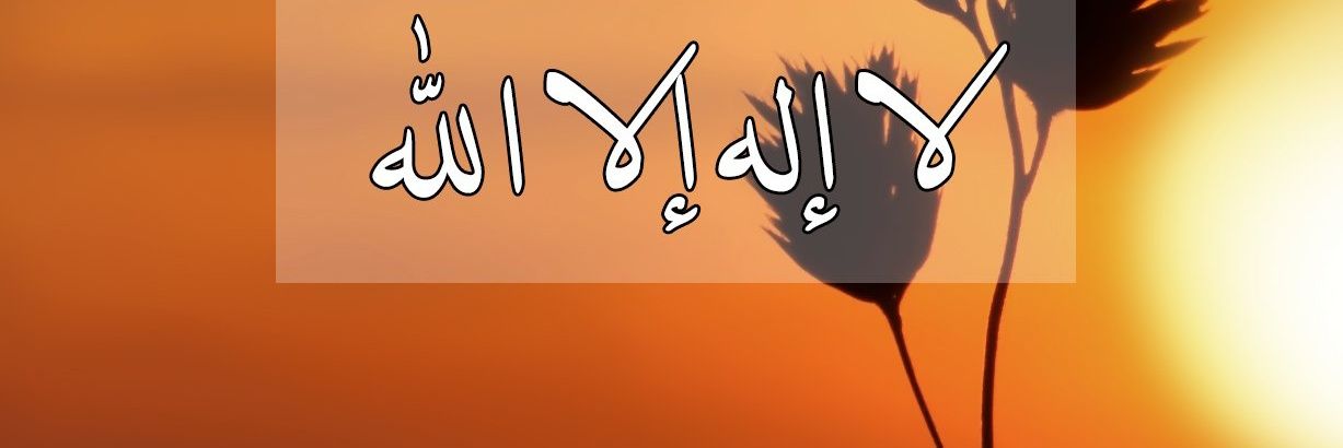 60oo7's profile banner image