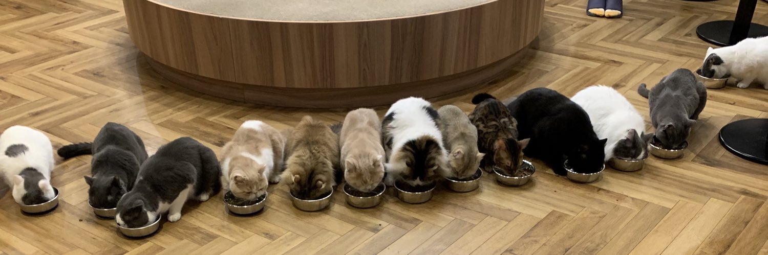 高城瀬奈 GC8 banner