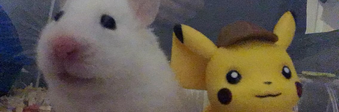 Matt Poxon 🐀 banner