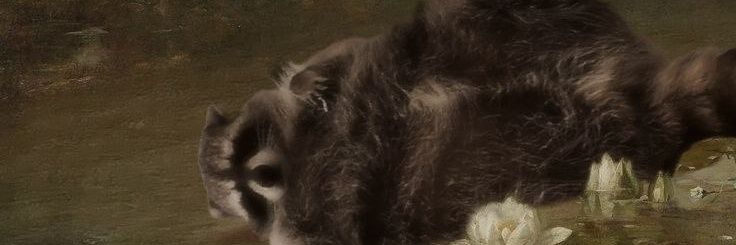 𝙽ａ𝚞ｔ𝚊 🐝 banner