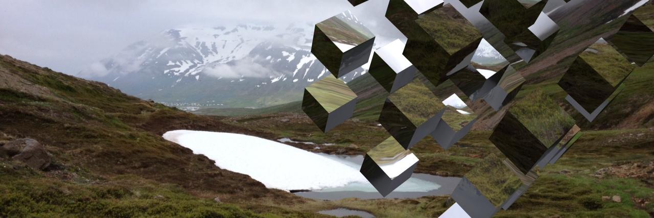 Visual Voice Gallery banner