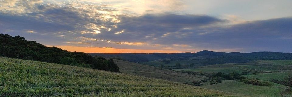 hidtib's profile banner image