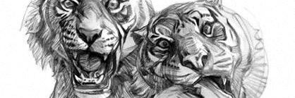 aineosbert's profile banner image
